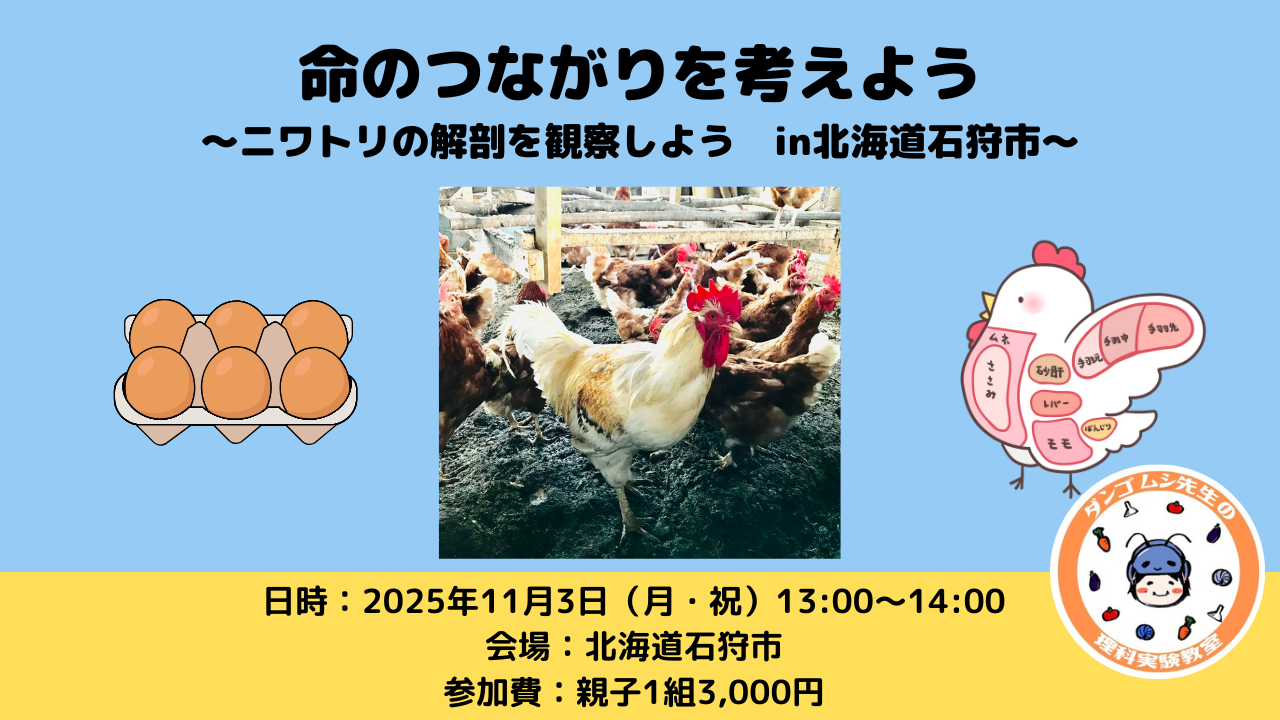 カードの画像