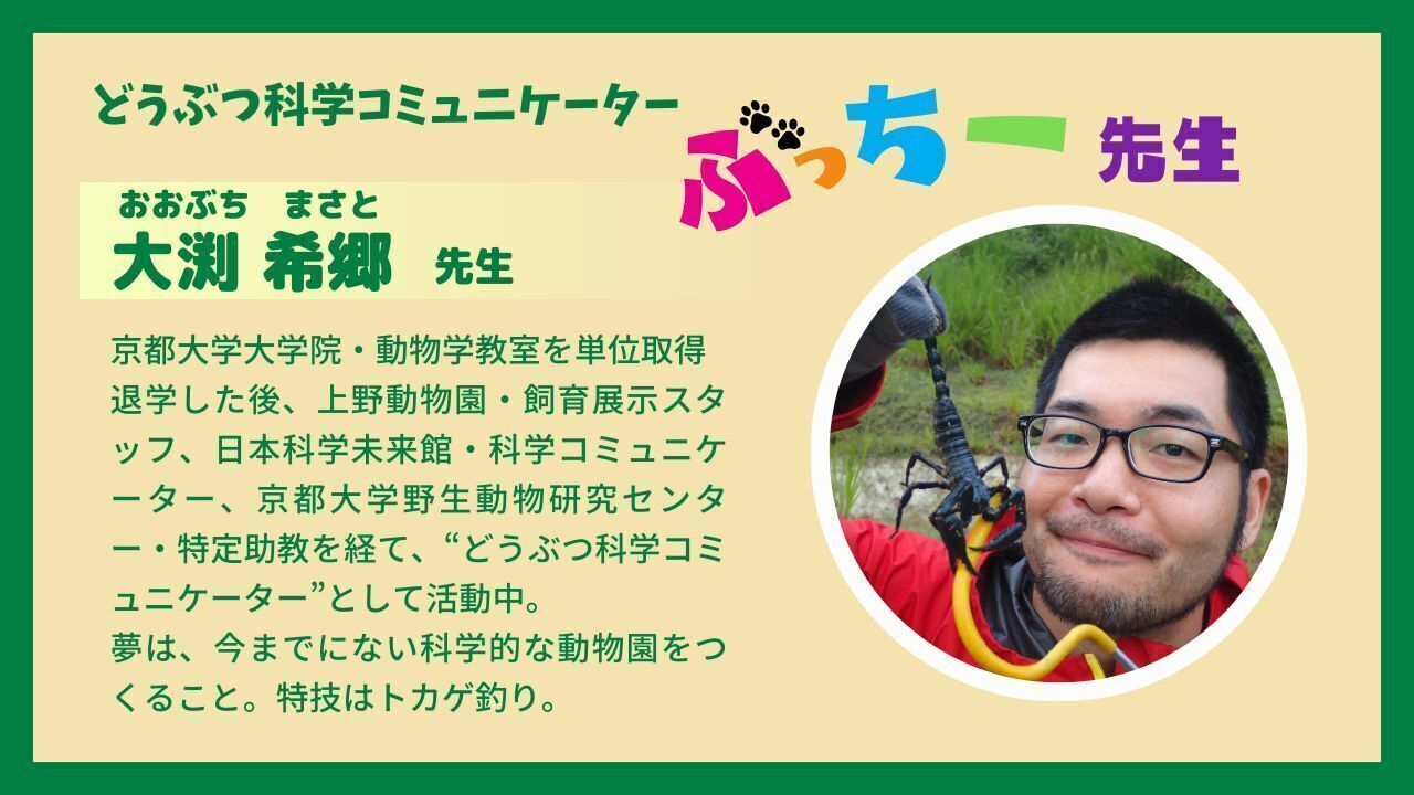 駿台 生物S 2024通期 伊藤先生 森田先生　MSクラス 駿台 生物S 2024通期 伊藤先生 森田先生 MSクラス Amazon.co.jp