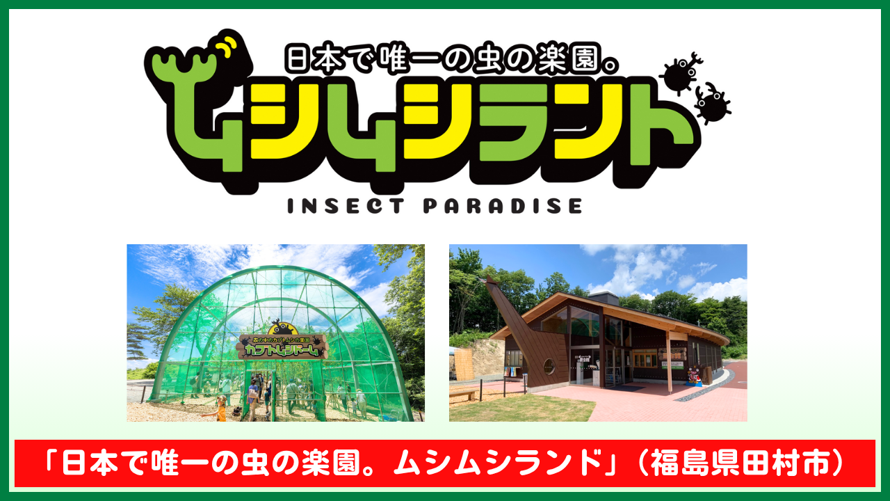 最強昆虫」科学バトル⑧あの人気昆虫も！虫とり完全攻略☆