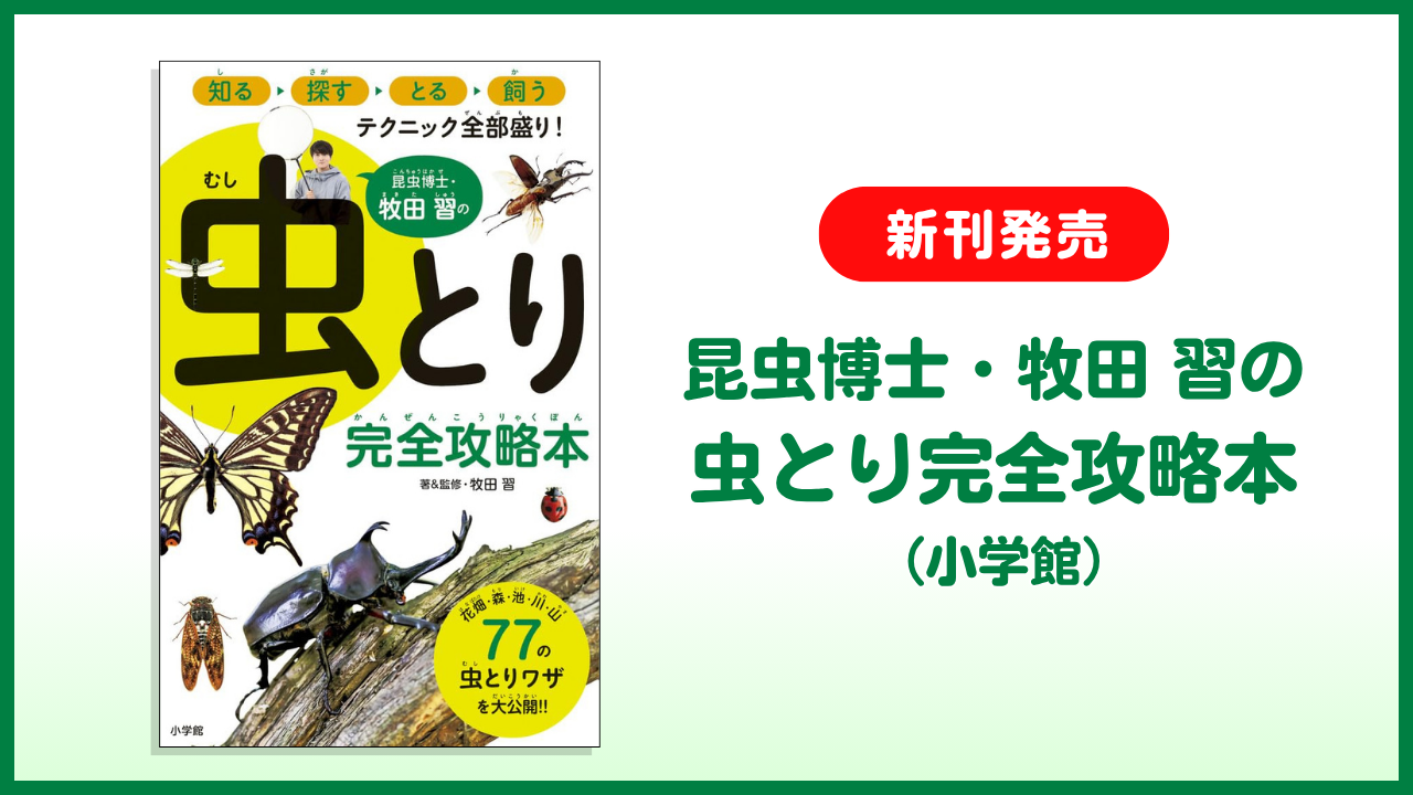 最強昆虫」科学バトル⑧あの人気昆虫も！虫とり完全攻略☆