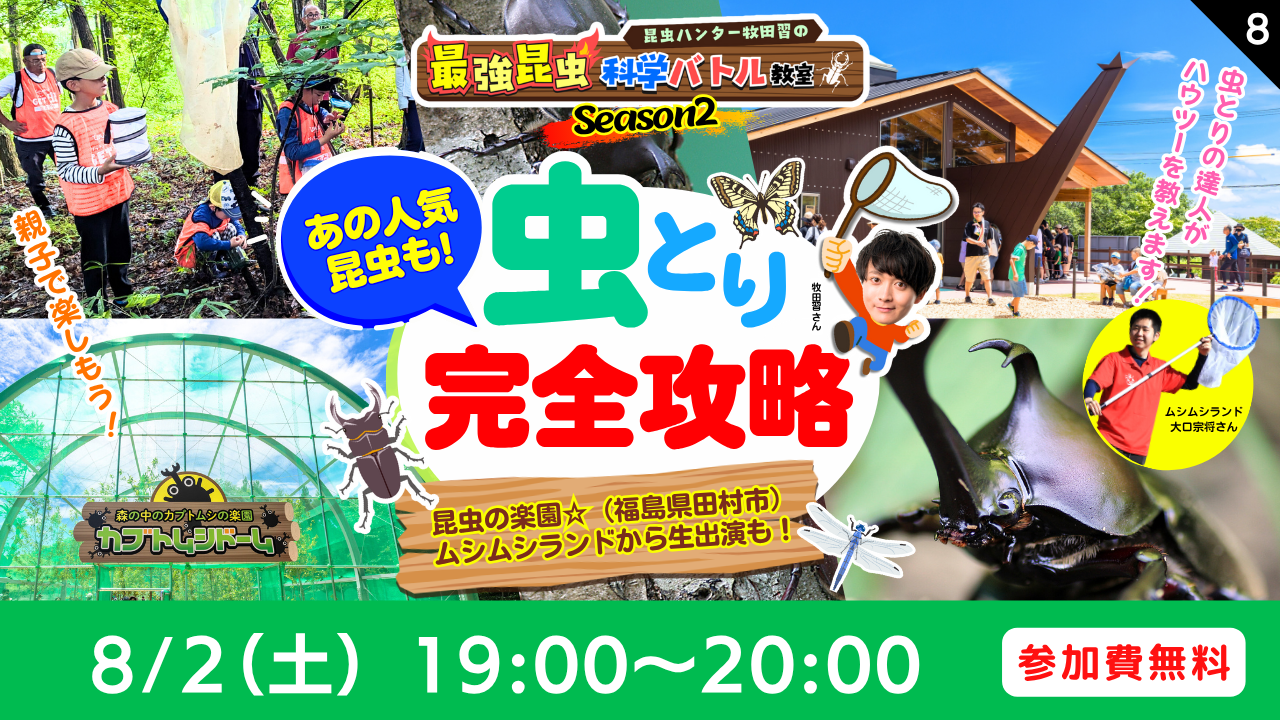 最強昆虫」科学バトル⑧あの人気昆虫も！虫とり完全攻略☆