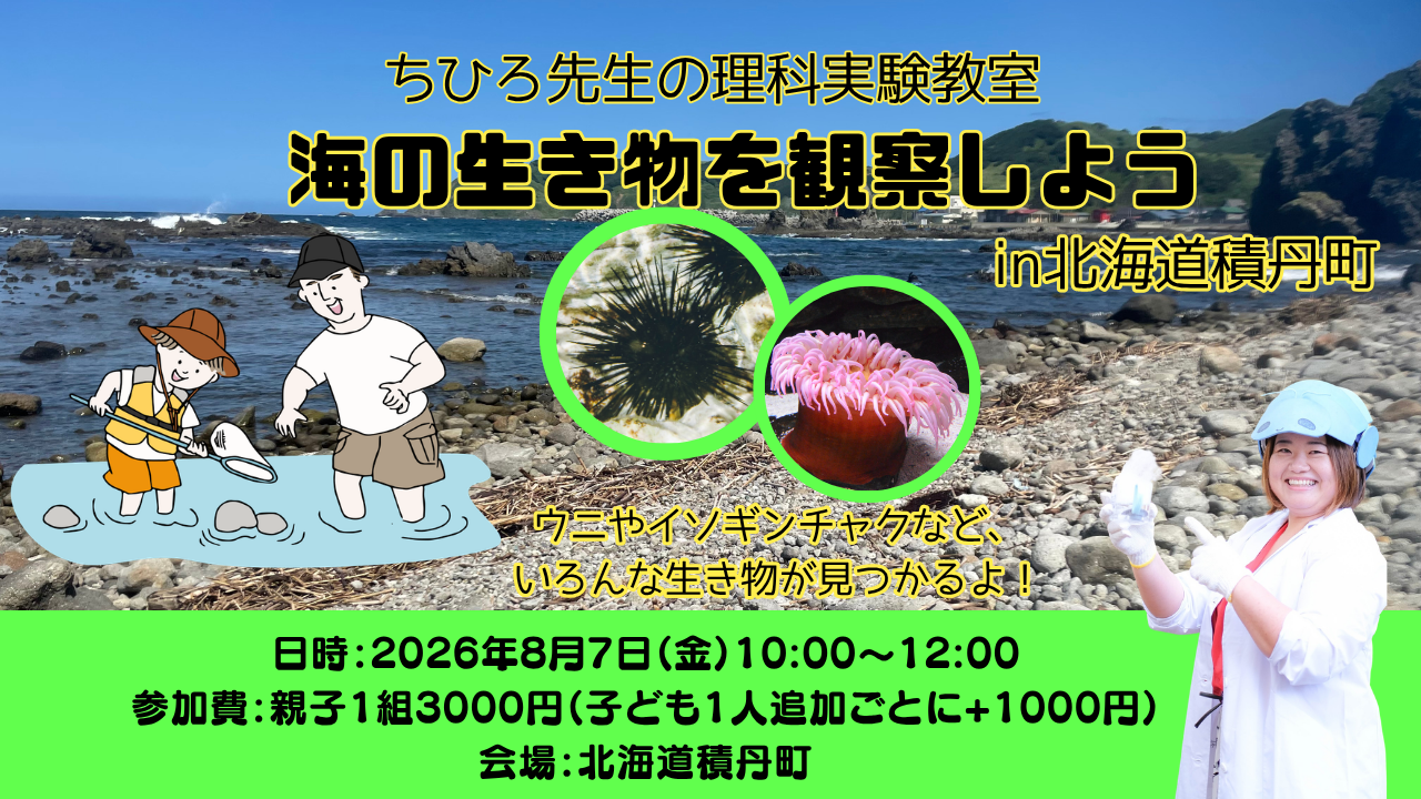 カードの画像